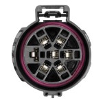56518 - Custom Wiring Harness, 7-Way RV Blade Output (Plug & Play), Select Honda Pilot Curt Spectrum Electric Trailer Brake Control with 7-Way Kit for Honda Pilot