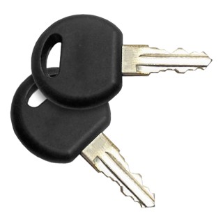 CURT Replacement Keys for Aluminum Bike Rack Lock Cylinder Replacement keys for CURT aluminum tray-style bike rack lock