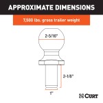 CURT 2-5/16 Inch Trailer Ball for Heavy-Duty Towing CURT 2-5/16 inch trailer ball with 7,500 lbs capacity and stainless finish