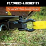 CURT D-ring Shackle Mount for Off-road Recovery - 13000 lbs CURT D-ring shackle mount with 13,000 lbs capacity on a truck hitch