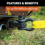 CURT D-ring Shackle Mount for 13000 lbs Capacity and Vehicle Recovery CURT D-ring shackle mount with steel shank for truck towing and recovery, rated 13000 lbs capacity, in black powder coat finish