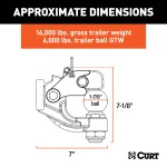 CURT Combination Ball and Pintle Hitch with Durable Finish CURT combination ball and pintle hitch for heavy-duty towing, featuring a durable powder coat finish and secure coupling.