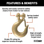CURT Clevis Hook with Safety Latch for Secure Heavy-Duty Towing CURT clevis hook with a safety latch and zinc finish for secure towing
