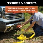 CURT Vehicle Recovery Strap with 9000 lbs Weight Capacity CURT vehicle recovery strap with looped ends, 30 foot length, 9000 lbs weight capacity and 18000 lbs break strength.