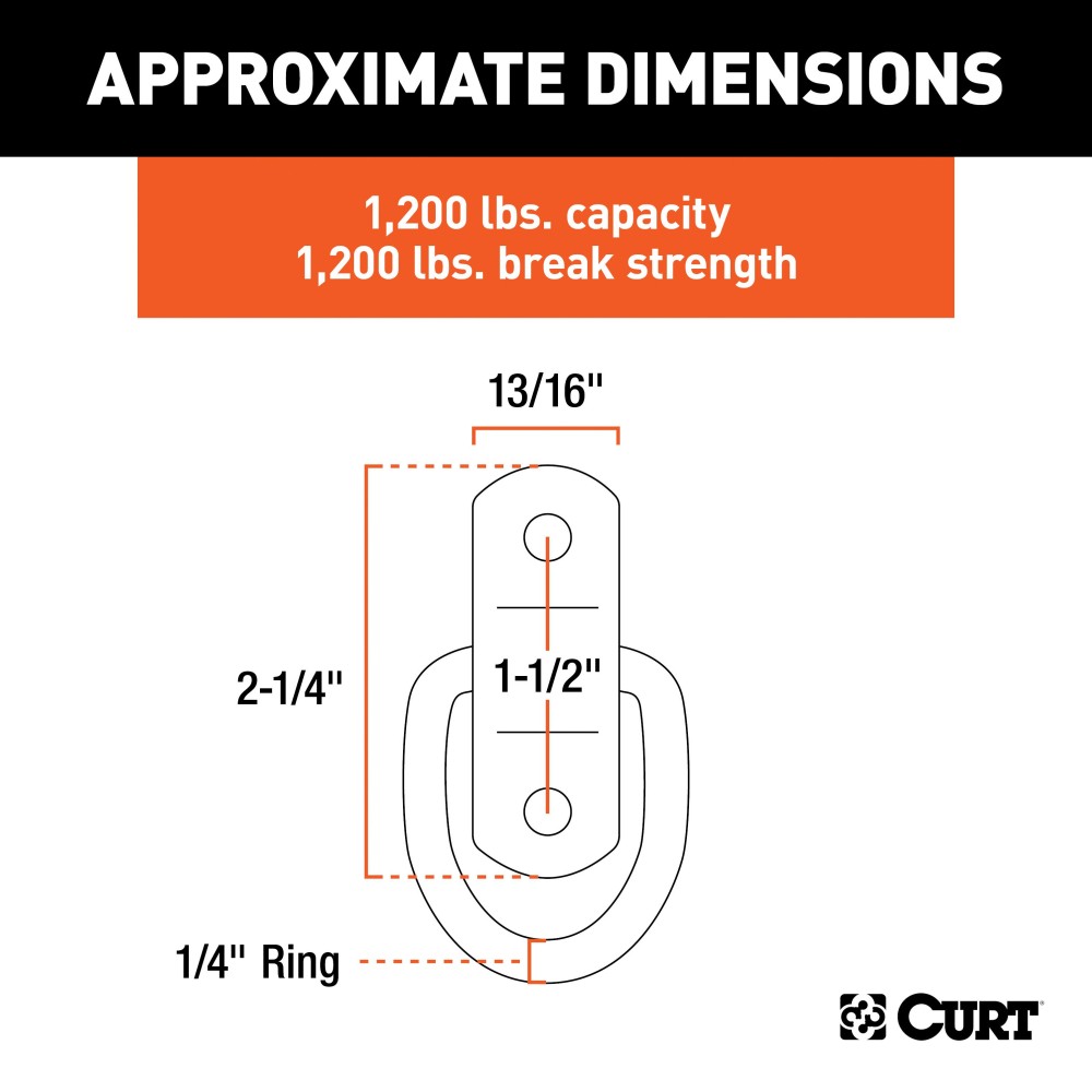 CURT D-ring tiedown anchor for trailers, trucks, and vans with stainless steel construction.
