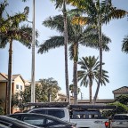 Florida Truck Palm TRD Rack and Tent