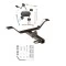 Trailer Tow Hitch For 04-08 Acura TL All Models Trailer Hitch Tow Receiver w/ Wiring Harness Kit