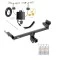 Trailer Hitch w/ Wiring For 19-24 Ford Edge Except Titanium Models Class 3 2" Tow Receiver Reese Tekonsha