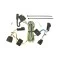  Reese Trailer Tow Hitch For 05-10 Chevy Cobalt Except SS 05-06 Pursuit Canada Only  Complete Package w/ Wiring Draw Bar and 2" Ball