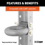 CURT Lunette Eye with Adjustable Mount for Pintle Hooks CURT lunette eye 3-inch diameter, forged steel, 24,000 lbs capacity, adjustable mount for pintle hook.