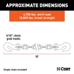 Grade-70 steel transport binder safety chain by CURT with clevis hooks for heavy-duty cargo, 18,800 lbs capacity.