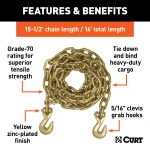 Grade-70 steel transport binder safety chain by CURT with clevis hooks for heavy-duty cargo, 18,800 lbs capacity.