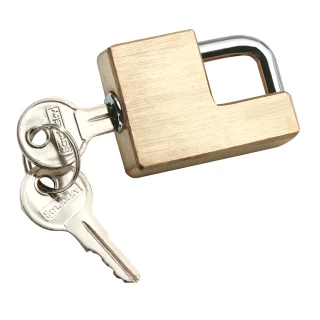 REESE Towpower brass trailer coupler lock with flat key design